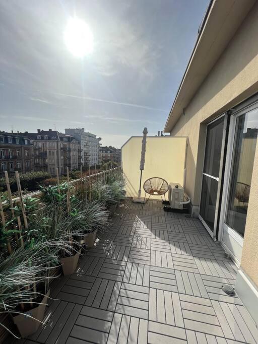 Appartement Cosy Orangerie Στρασβούργο Εξωτερικό φωτογραφία
