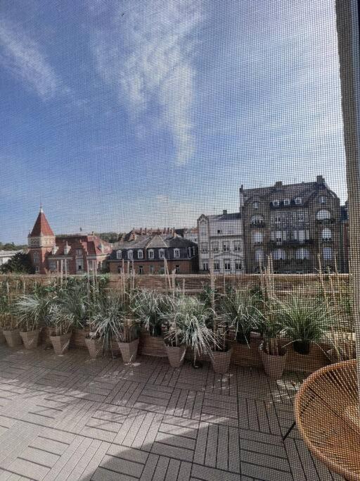 Appartement Cosy Orangerie Στρασβούργο Εξωτερικό φωτογραφία