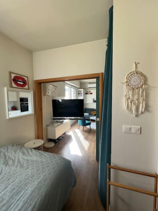 Appartement Cosy Orangerie Στρασβούργο Εξωτερικό φωτογραφία